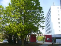 La Rochelle_Residence Antinea_Exterior_01